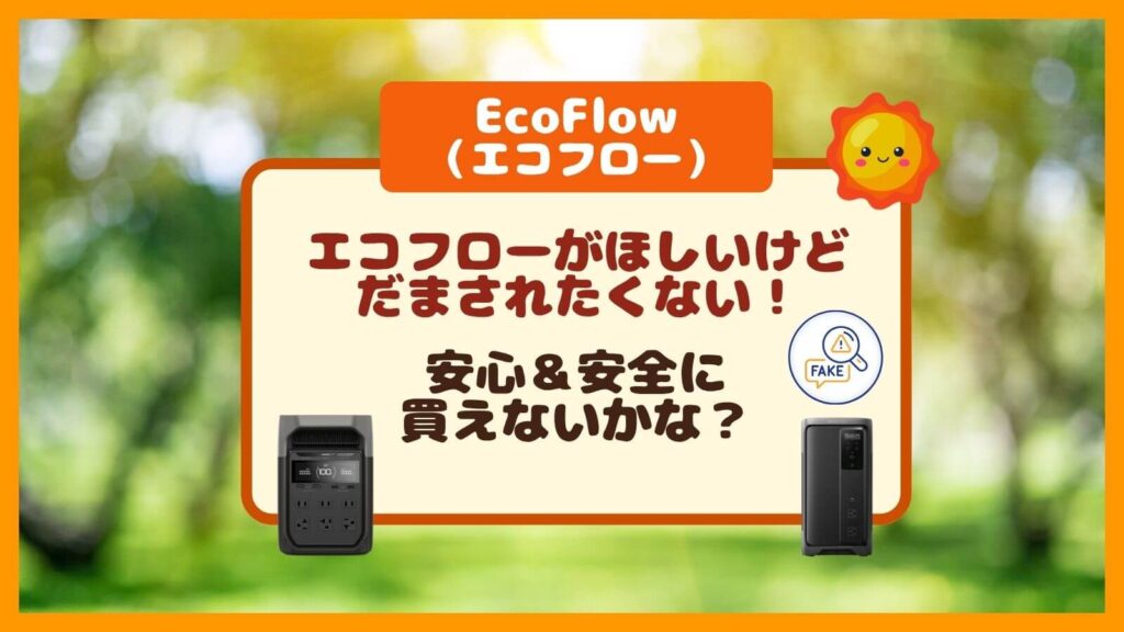 EcoFlowオフィシャルサイトが安心