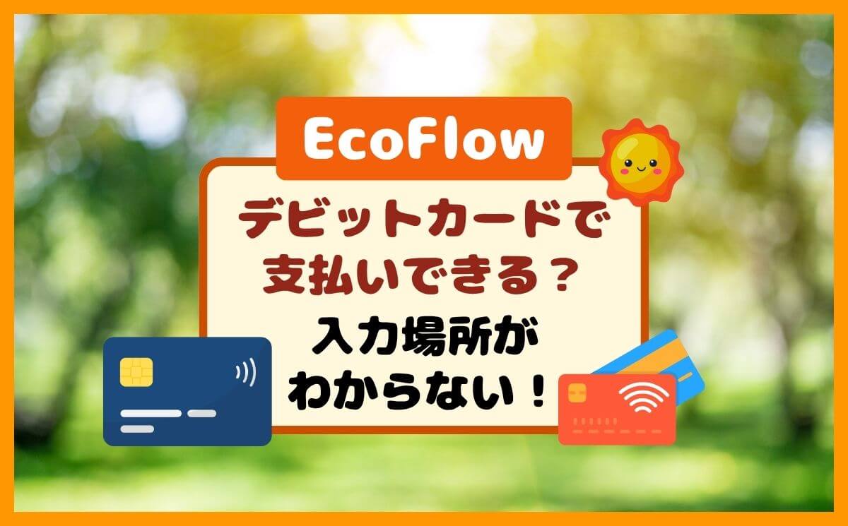 EcoFlowはデビットカードで支払いできる！入力場所と注意点！エコフロー