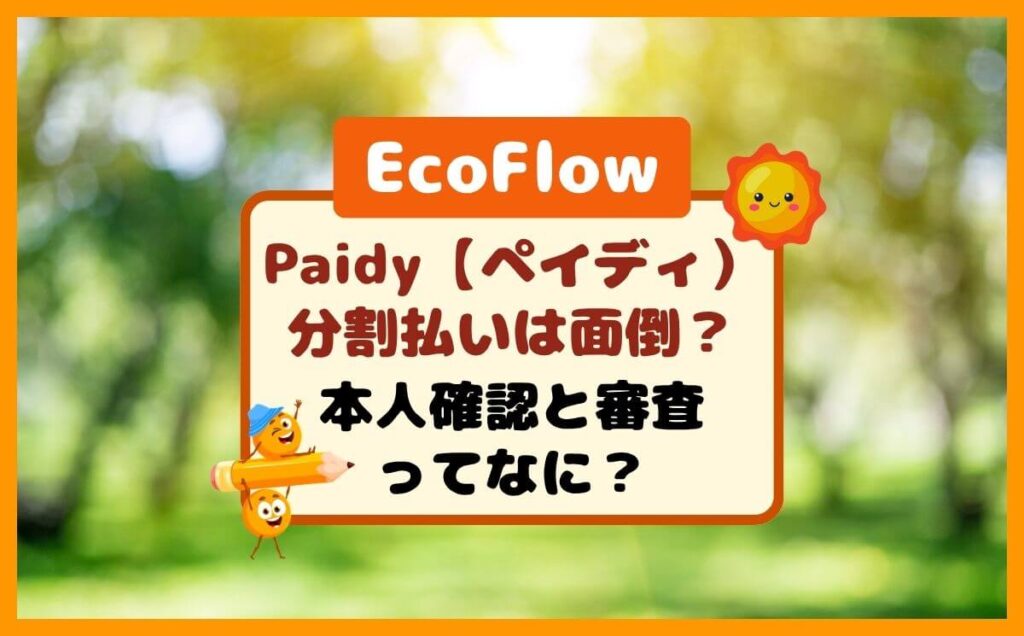 EcoFlowのPaidy分割払いは面倒？本人確認も審査もスマホで完結！結果は通常数分